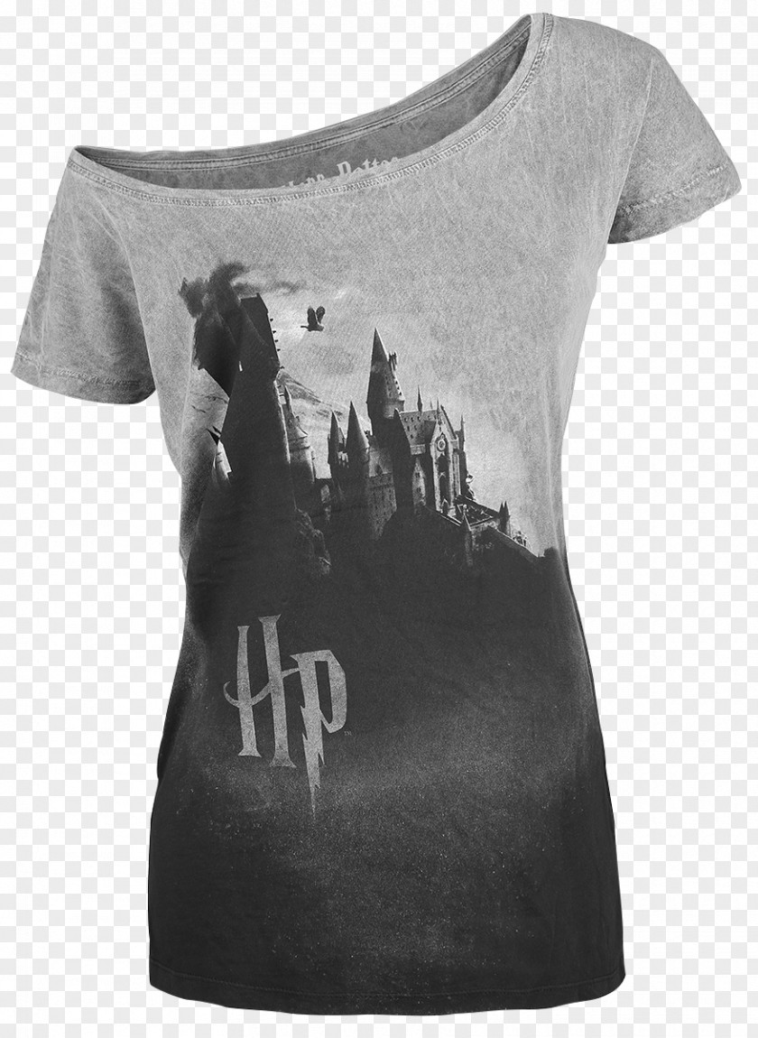 T-shirt Garrï Potter Battle Of Hogwarts Express School Witchcraft And Wizardry PNG