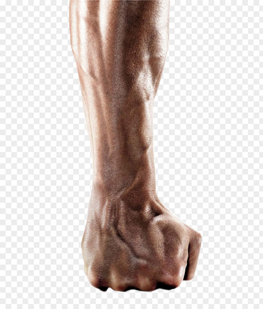 Arm Fist PNG