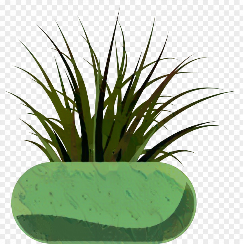 Clip Art Image Plants Plant Stem PNG