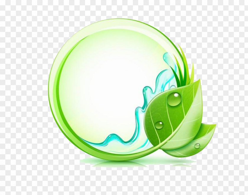 Green Circle Drop Water Icon PNG