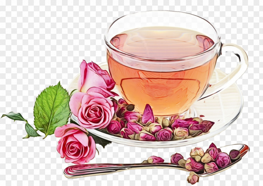 Petal Herbaceous Plant Drink Flower Chinese Herb Tea Teacup PNG