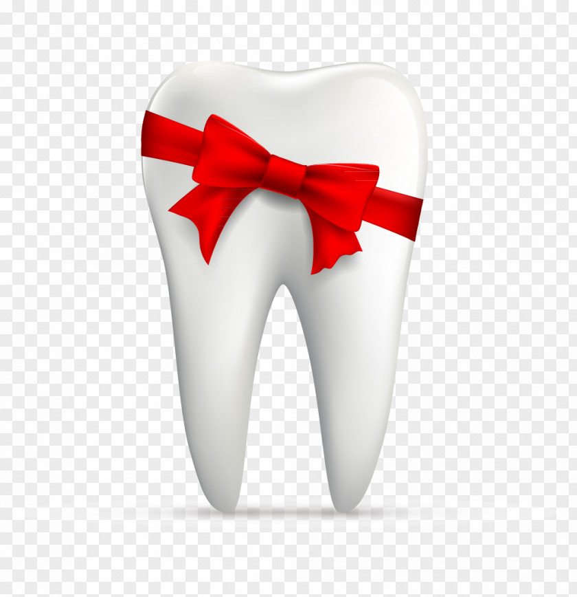 Protect Teeth Human Tooth Euclidean Vector PNG