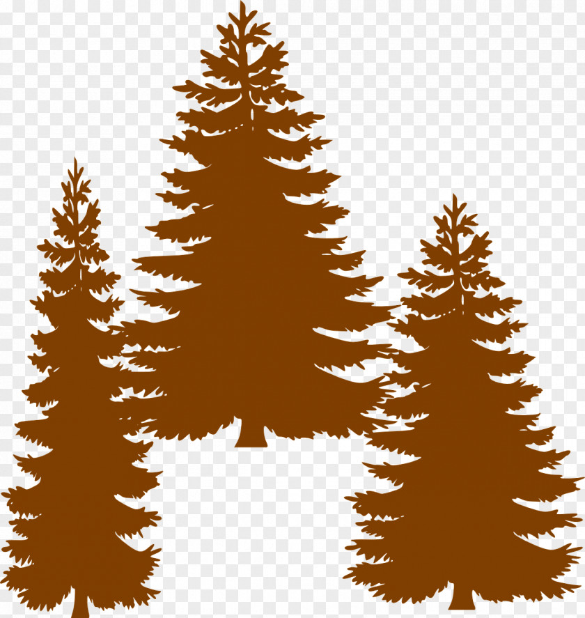 Tree Pine Fir Evergreen Clip Art PNG