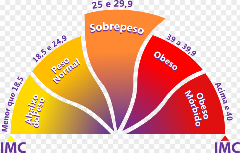 Body Mass Index Human Weight Poids Idéal Malnutrition PNG mass index body weight idéal Malnutrition, calculation of ideal clipart PNG