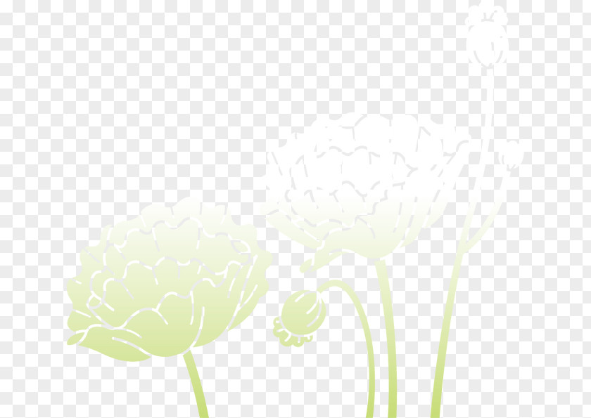 Cartoon Painted Lotus Petal Flowering Plant Stem Computer Wallpaper PNG