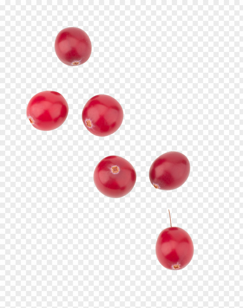 Cranberry Extract Fruit Lingonberry PNG