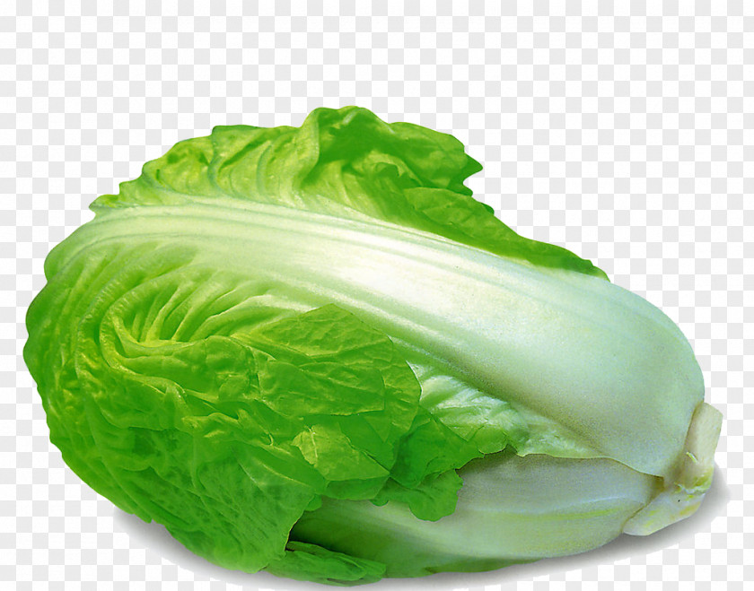 Delicious Cabbage Romaine Lettuce Vegetable Chinese Food PNG