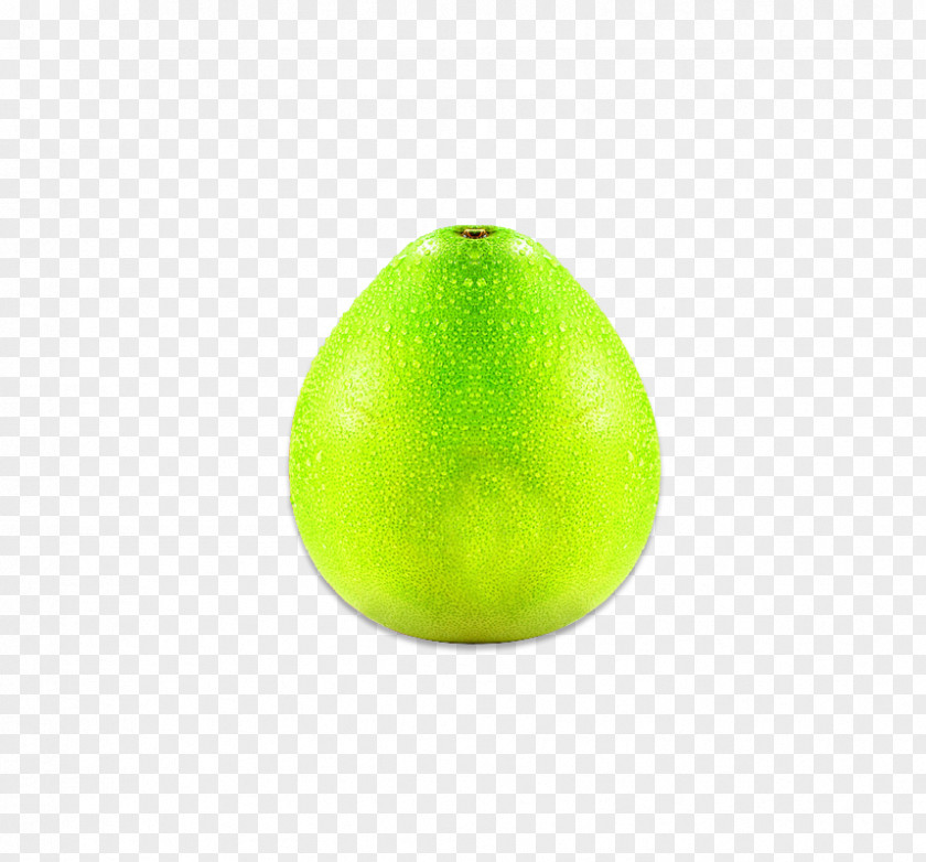 Grapefruit Lime Pomelo Lemon PNG
