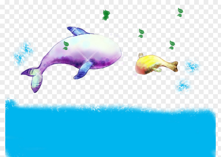 Hand Colored Baby Whale Dolphin PNG