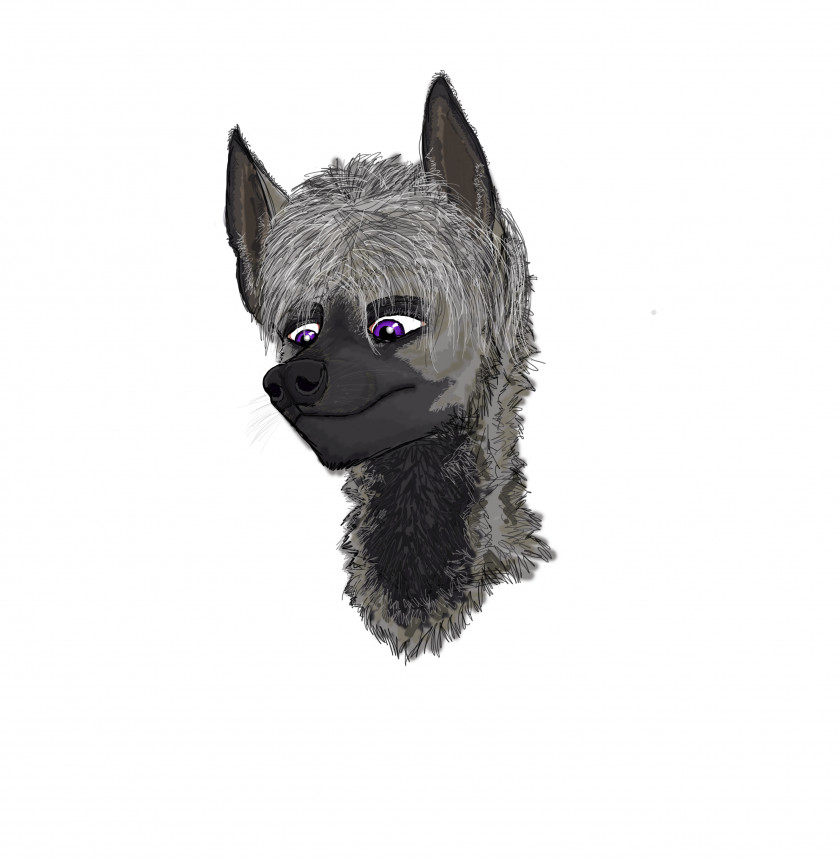 Hyena Cairn Terrier Dog Breed Canidae Snout Pet PNG
