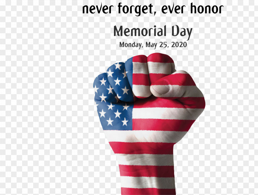 Memorial Day PNG