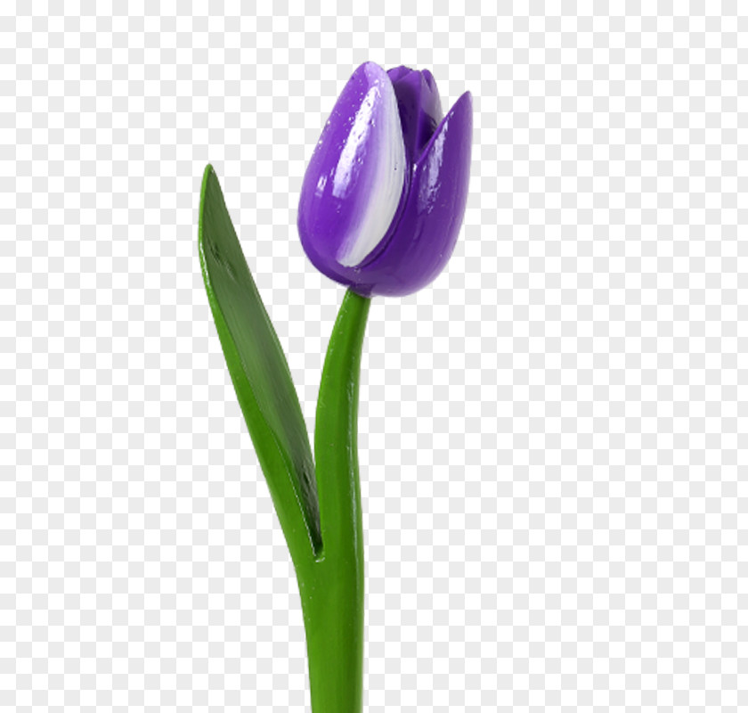 Purple Tulips Tulip Flower Plant Stem Delftware PNG