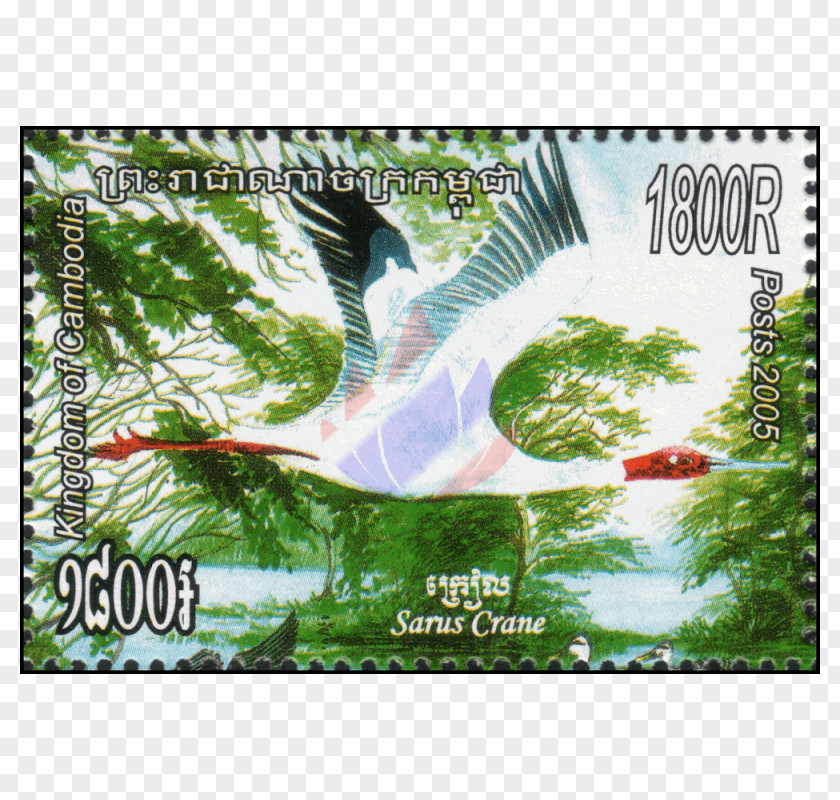 Waterbirds Burmese Sarus Crane Antigone Câu Lạc Bộ Sưu Tập Tem Viet Stamp Advertising PNG