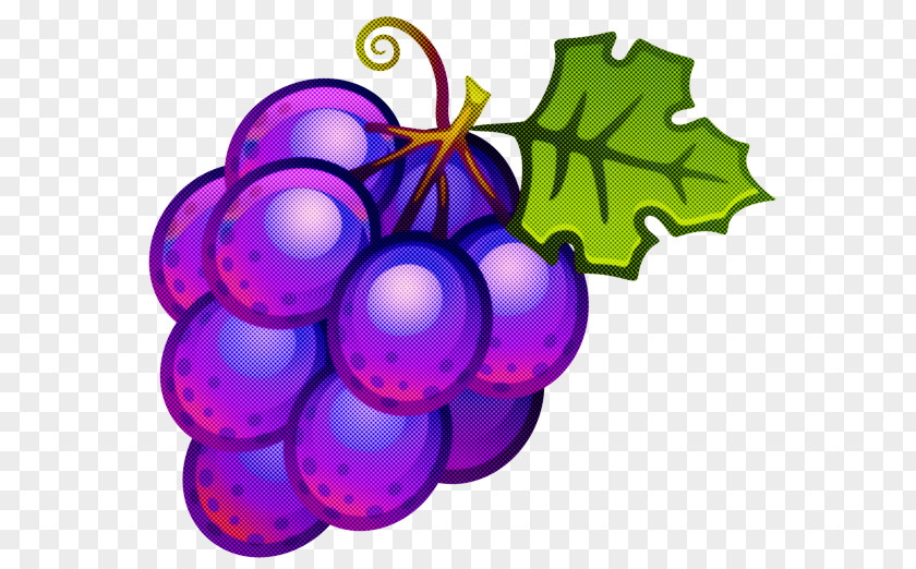 Fruit Seedless Grape Grapevine Family Purple Violet Vitis PNG