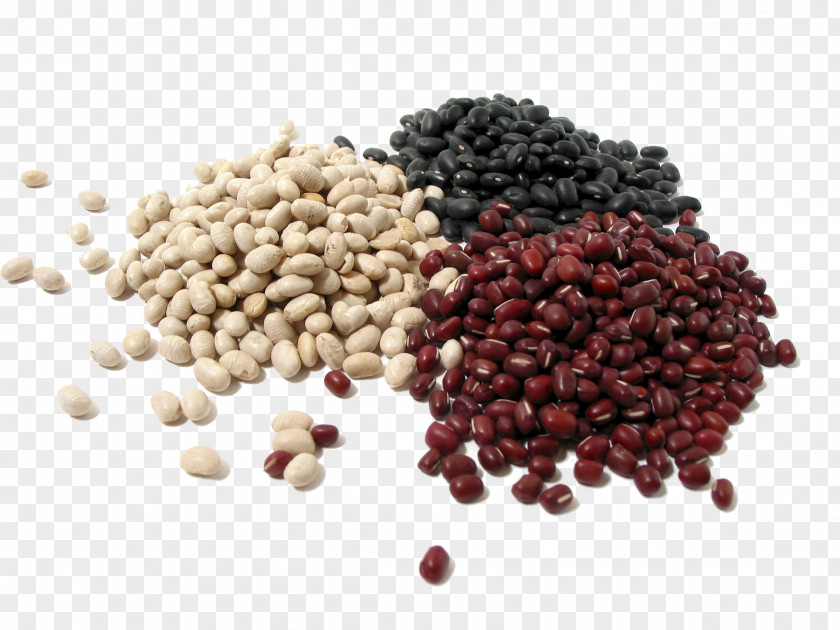 Meat Bean Nut Dried Fruit Protein Seed PNG