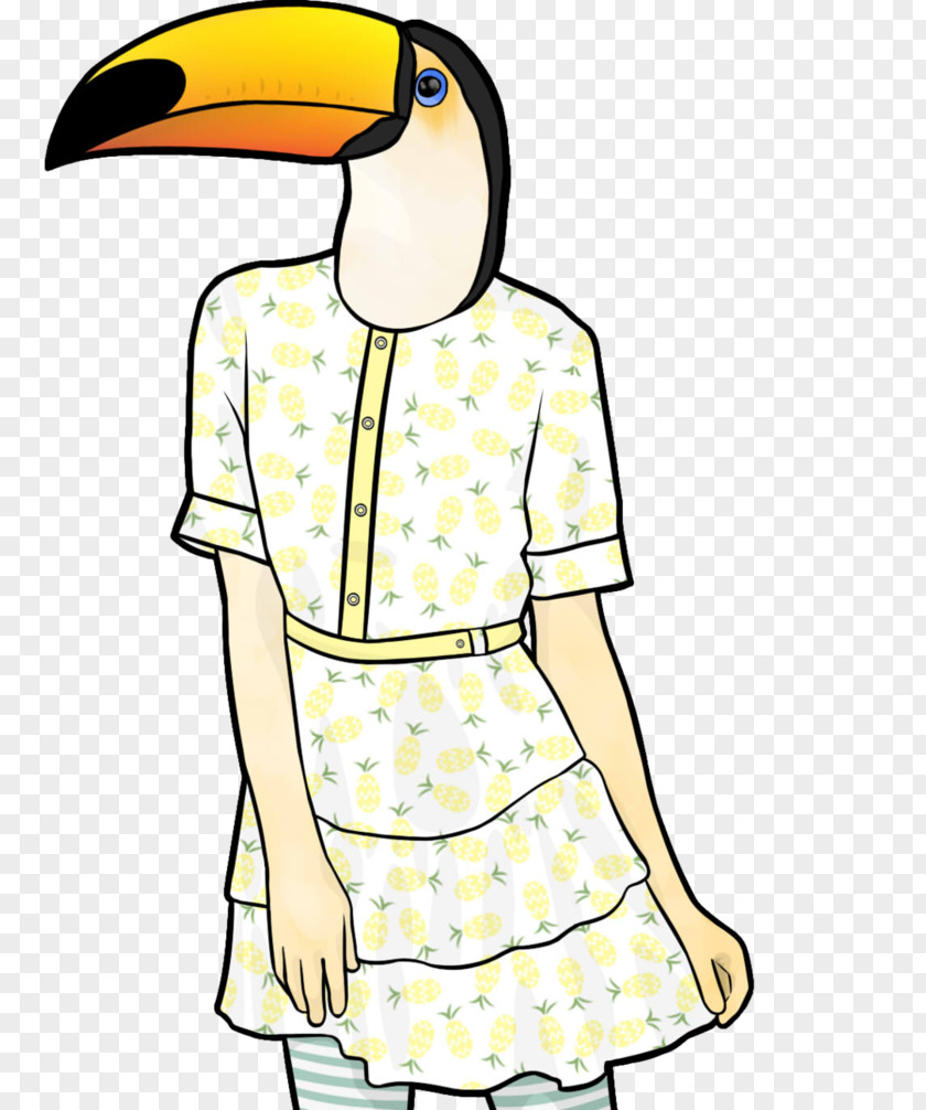 Toucan Bird Toco Drawing Beak PNG