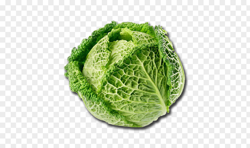 Vegetable Savoy Cabbage Variety Salad Cauliflower PNG