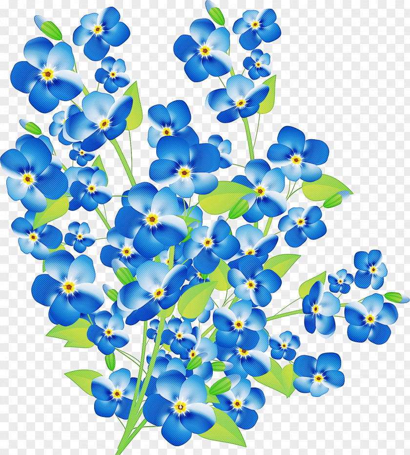 Blue Flower Plant Borage Family PNG
