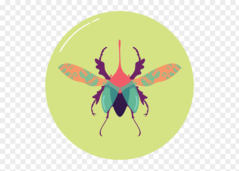Butterfly Clip Art Insect Illustration Product PNG