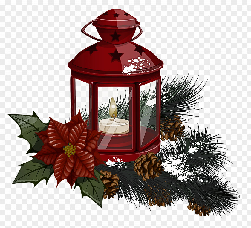 Candle Plant Lantern Tree Clip Art Fir PNG