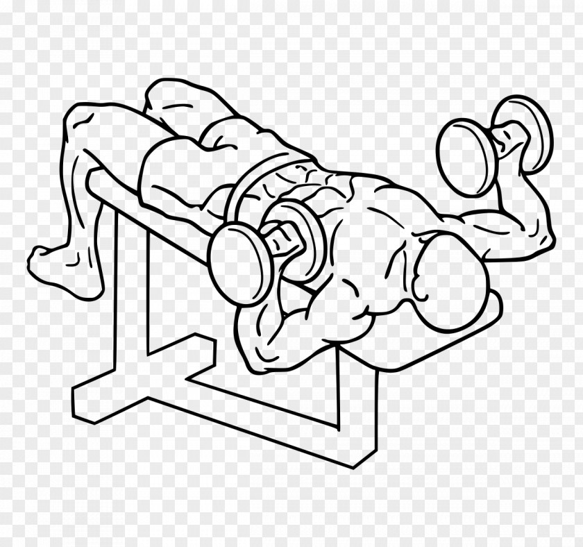 Color Pull Down Bench Press Dumbbell Fly Barbell PNG