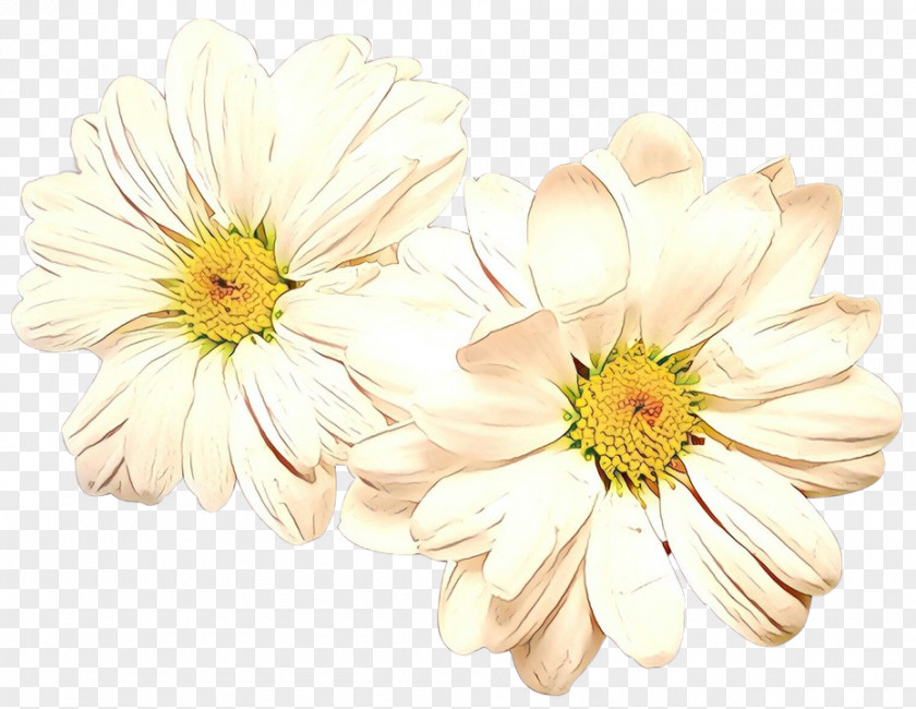 Floristry Chrysanthemum Transvaal Daisy Cut Flowers Yellow PNG