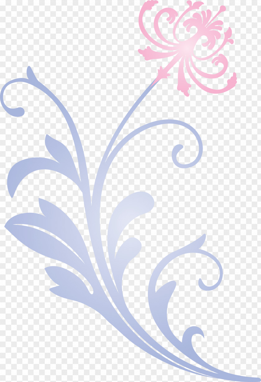 Flower Frame Decoration PNG