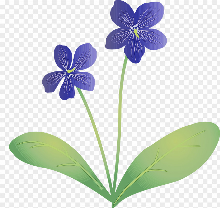 Flower Petal Flora Plants Science PNG