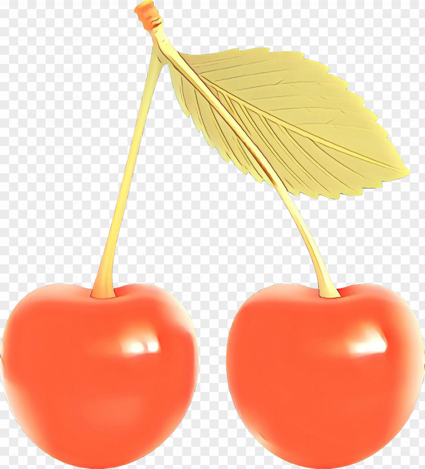 Food Drupe Cherry Tree PNG
