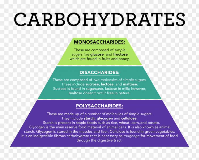 Health Sucrose Intolerance Sucrase-isomaltase Disease Carbohydrate PNG