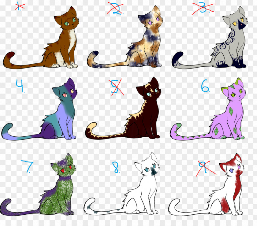 Kitten Whiskers Cat Warriors Canidae PNG