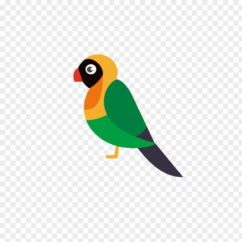 Multicolored Parrot Bird PNG