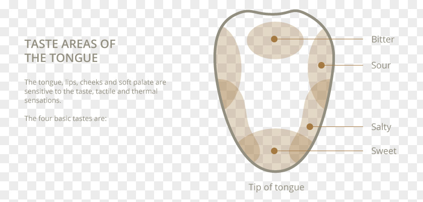 Papillae Of Tongue Product Design Material Body Jewellery PNG