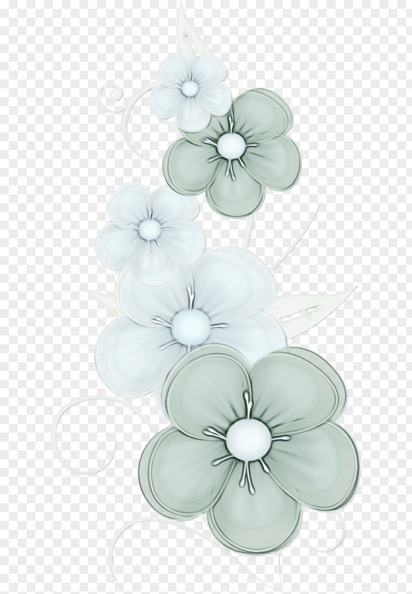 Petal Floral Design Flowering Plant PNG