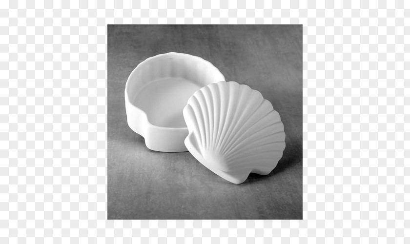 Seashell Nautiluses Material PNG