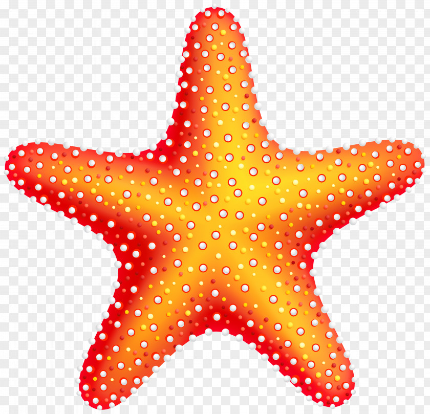 Star Ocean Starfish Clip Art PNG