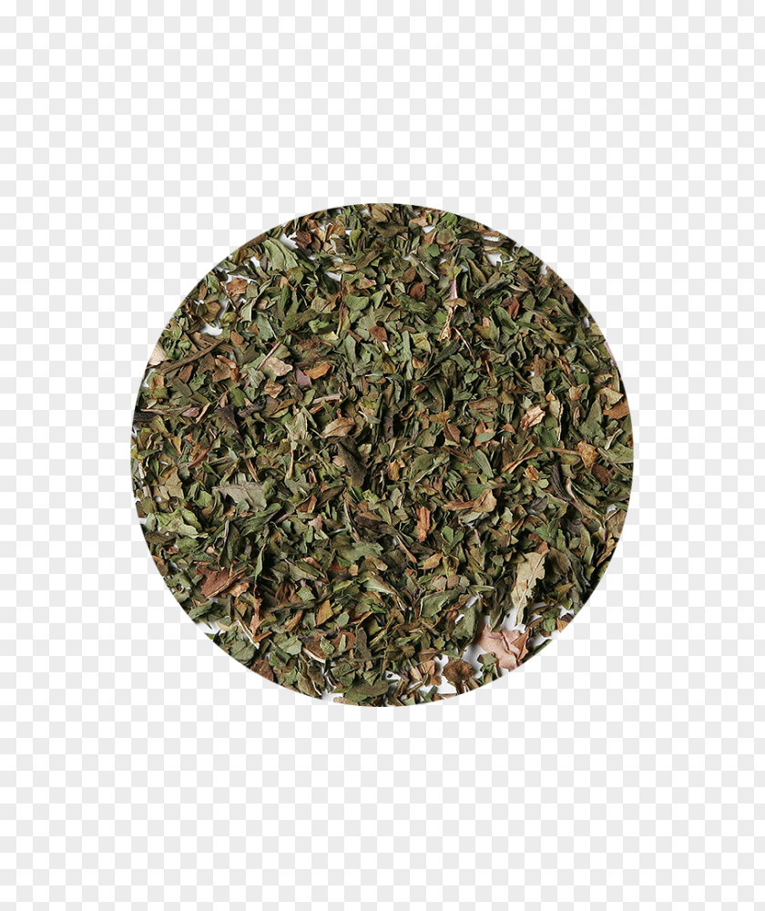 Tea Sencha Green Coffee Camellia Sinensis PNG