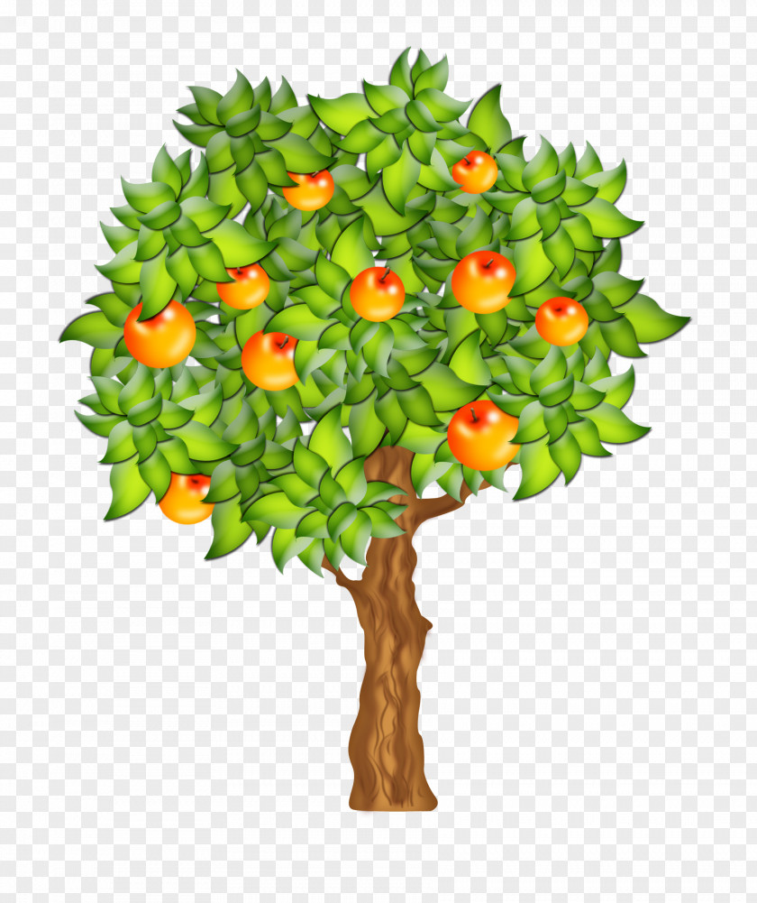 Tree Clip Art Fruit PNG