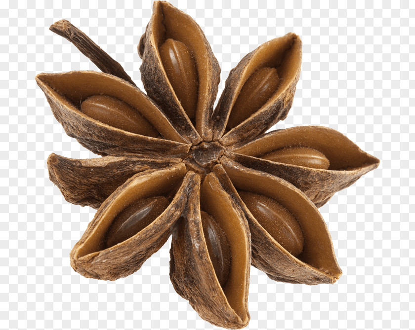 Anis Star Anise Flavor Spice Liquid PNG