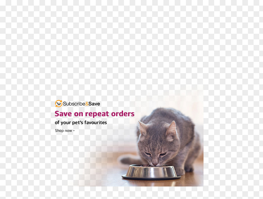 Cat Food Kitten Dog Purina One PNG