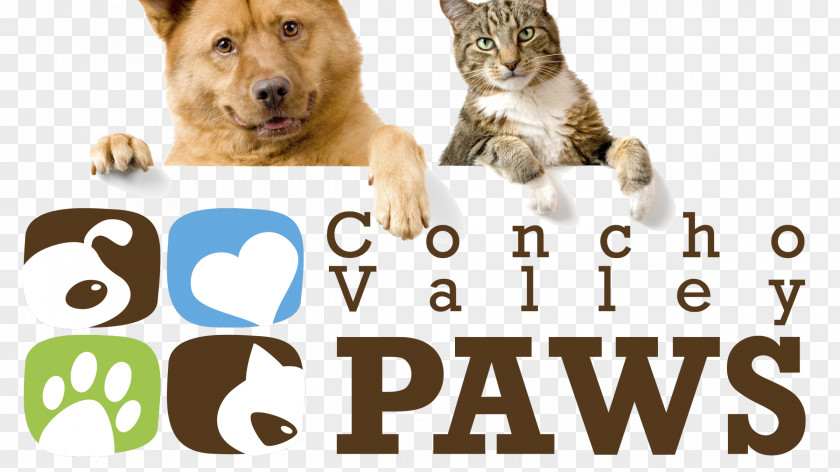 Dog Cat Pet Sitting Puppy PNG