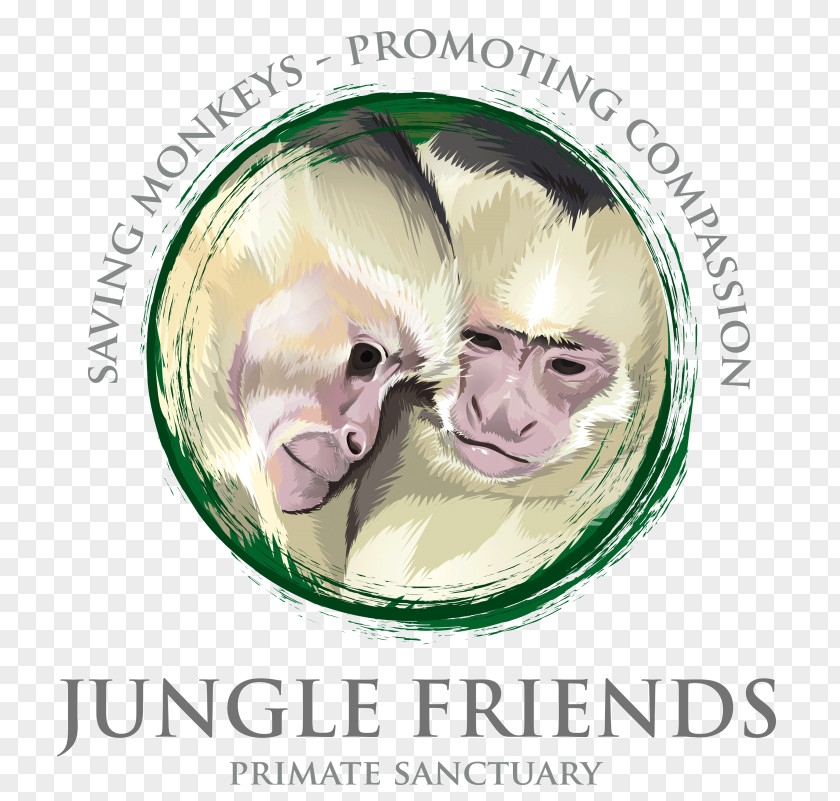 Monkey Jungle Friends Primate Sn Center Nose Animal PNG