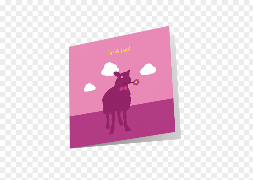 Sheep Greeting Cards Pink M Rectangle RTV Font PNG