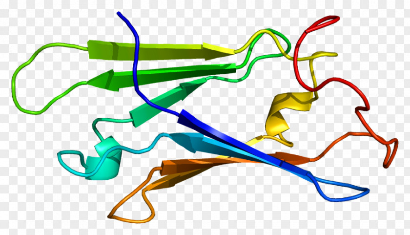 SUGT1 S100A6 Protein Gene Human PNG
