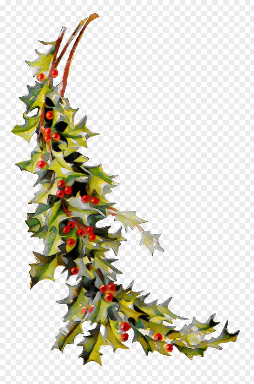 Twig Branch Christmas Tree Silhouette PNG