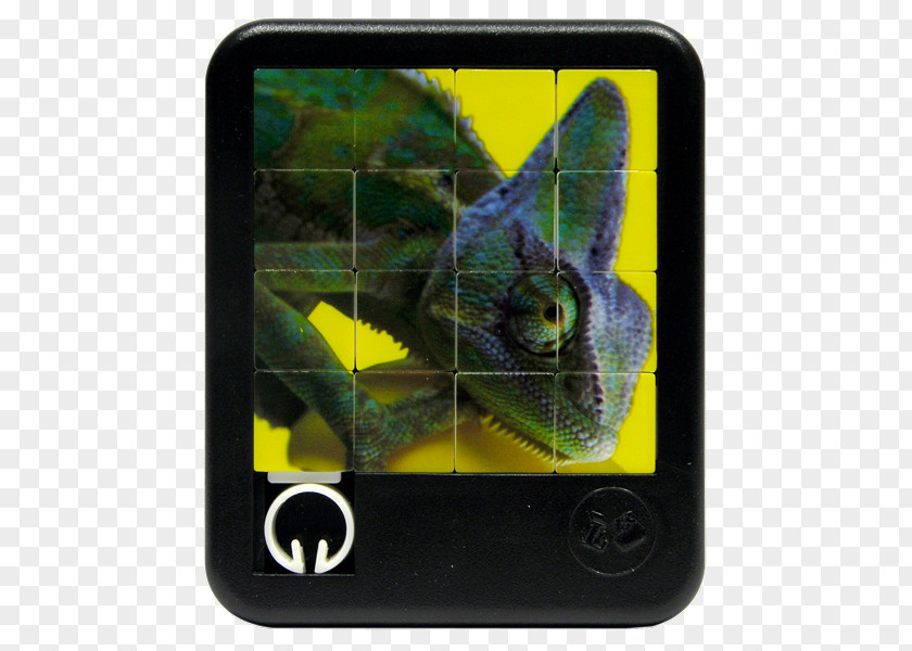 Canadian Warning Choking Hazard Jigsaw Puzzles Larsen Puzzle ZOO 3 Game Mobile Phones Nature PNG