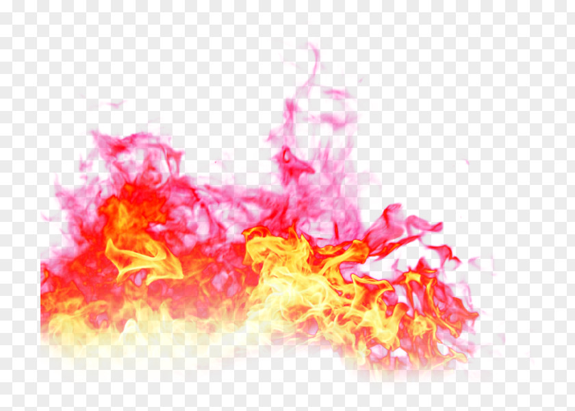 Flame Decoration Light Fire PNG