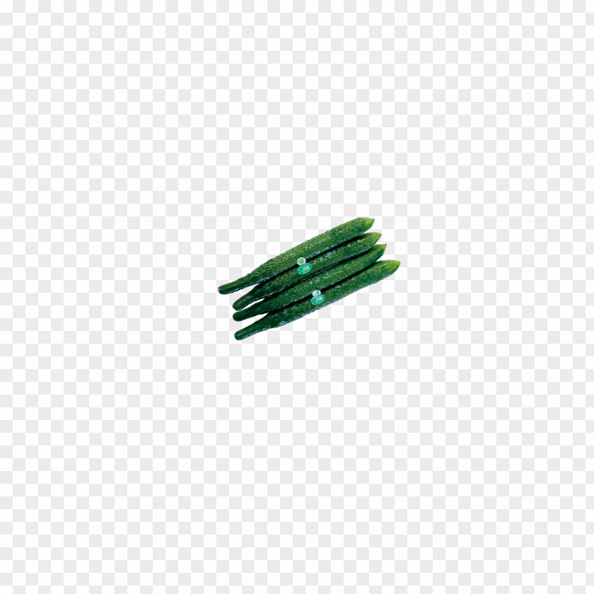 Green Cucumber Vegetable PNG