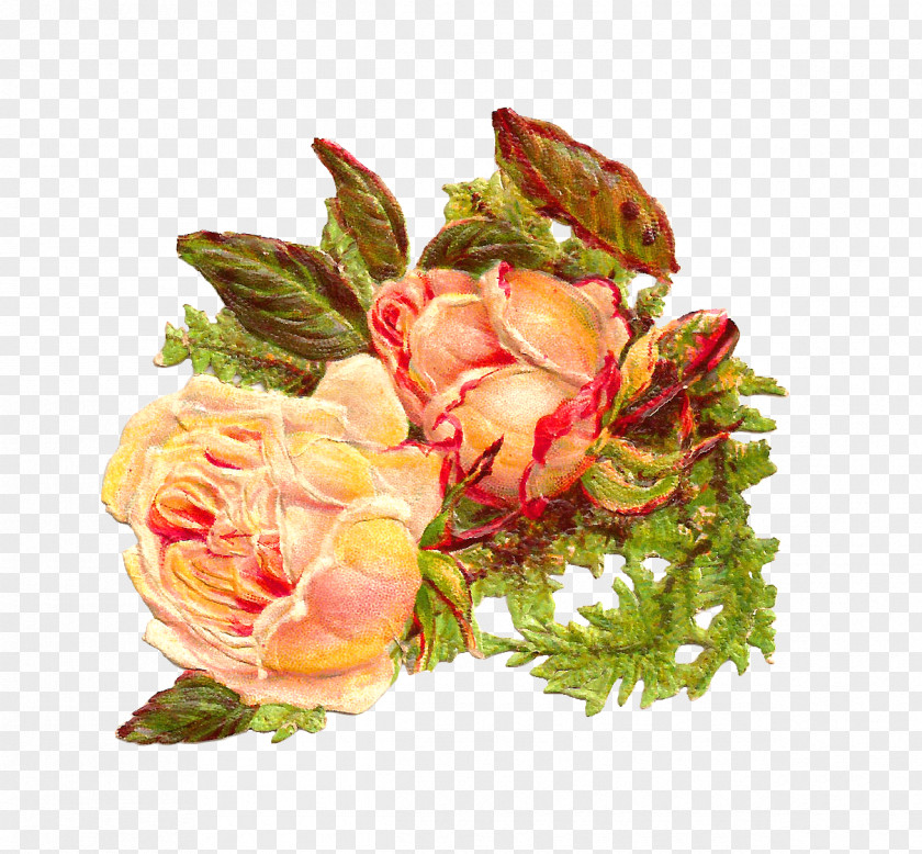 Rose Petals Flower Clip Art PNG