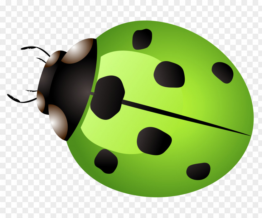 Vector Green Ladybug Ladybird Car Icon PNG